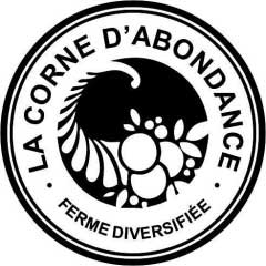 Corne-d_abondance