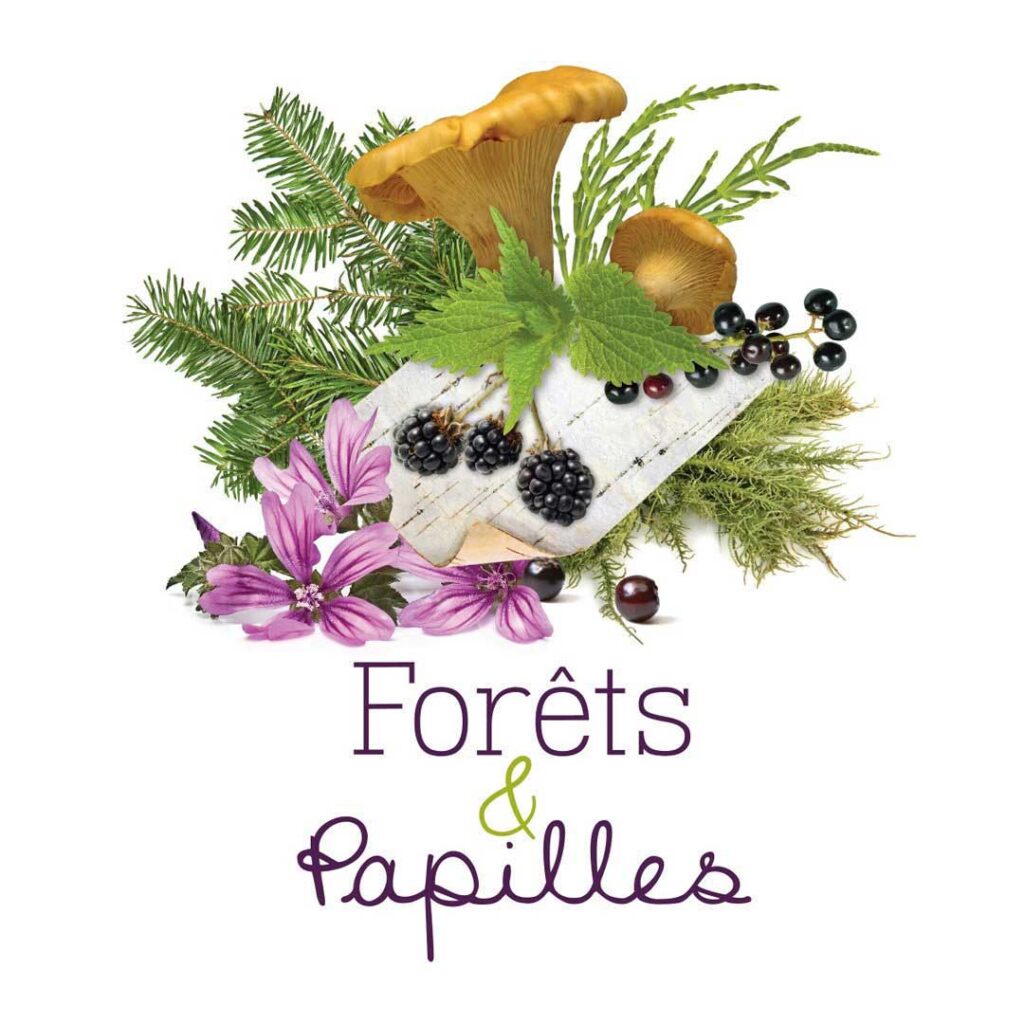 forets-et-papilles